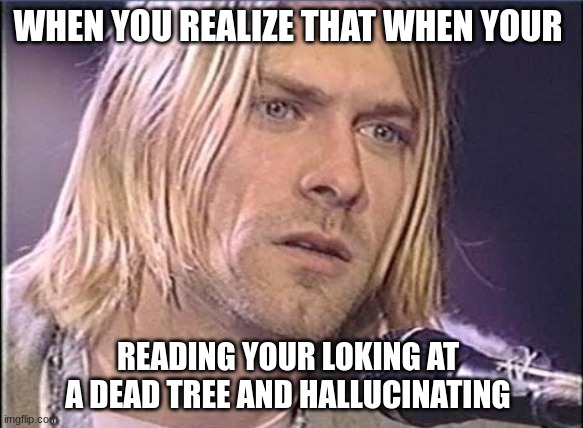 Kurt Cobain shut up | WHEN YOU REALIZE THAT WHEN YOUR; READING YOUR LOKING AT A DEAD TREE AND HALLUCINATING | image tagged in oh wow are you actually reading these tags | made w/ Imgflip meme maker