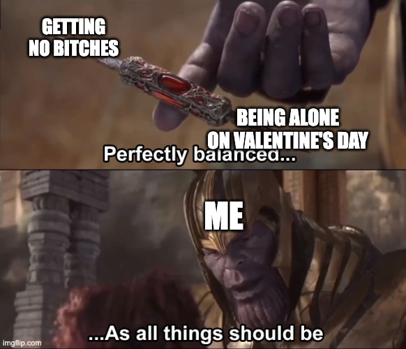 Thanos perfectly balanced as all things should be | GETTING NO BITCHES; BEING ALONE ON VALENTINE'S DAY; ME | image tagged in thanos perfectly balanced as all things should be | made w/ Imgflip meme maker