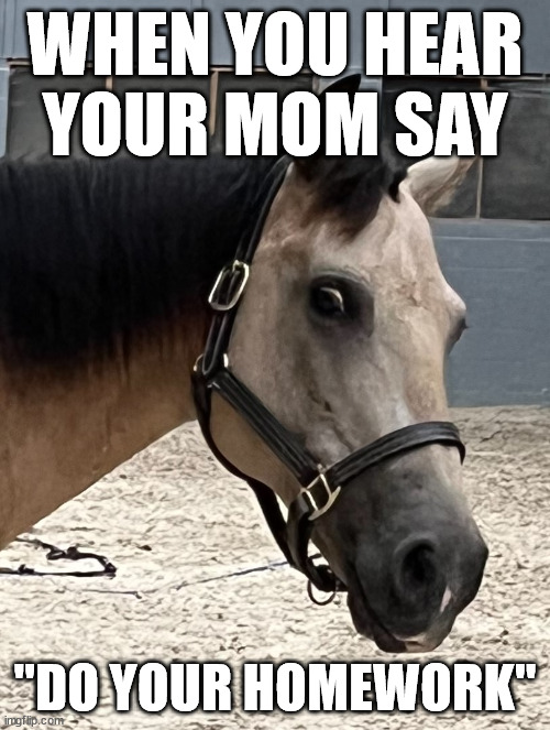 when yo... | WHEN YOU HEAR YOUR MOM SAY; "DO YOUR HOMEWORK" | image tagged in funny | made w/ Imgflip meme maker