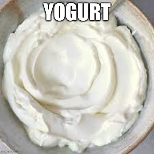 Yogurt | YOGURT | image tagged in yogurt | made w/ Imgflip meme maker