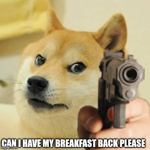 Dog holding gun | CAN I HAVE MY BREAKFAST BACK PLEASE | image tagged in dog holding gun | made w/ Imgflip meme maker
