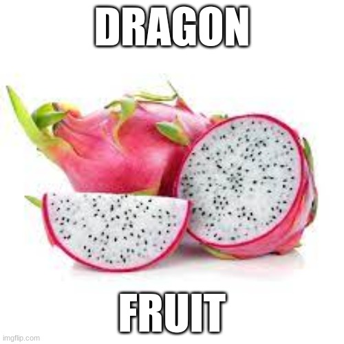 Dragon Fruit | DRAGON; FRUIT | image tagged in dragon fruit | made w/ Imgflip meme maker