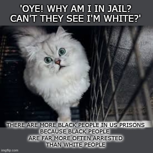This #lolcat doesn't wonder that if you only arrest black people, only black people are in prison | 'OYE! WHY AM I IN JAIL?
CAN'T THEY SEE I'M WHITE?'; THERE ARE MORE BLACK PEOPLE IN US PRISONS
BECAUSE BLACK PEOPLE 
ARE FAR MORE OFTEN ARRESTED
THAN WHITE PEOPLE | image tagged in lolcat,racism,etnic profiling,injustice,prison,think about it | made w/ Imgflip meme maker