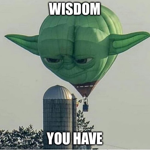 Yoda best balloon | WISDOM YOU HAVE | image tagged in yoda balloon,wisdom | made w/ Imgflip meme maker