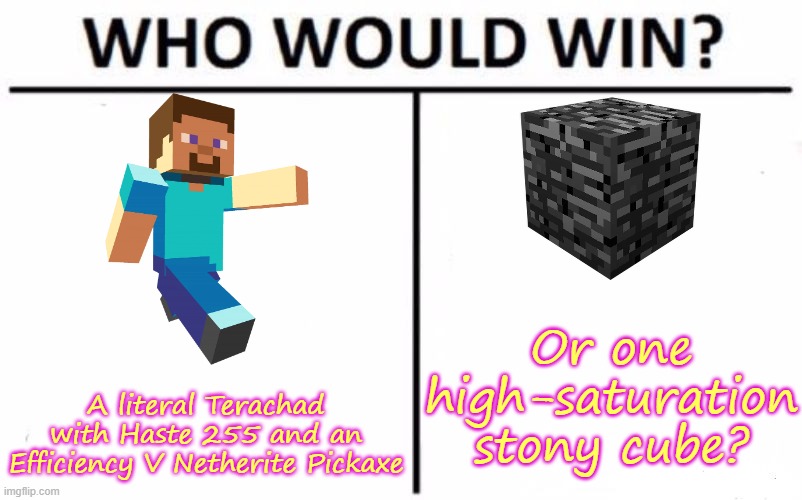 Who Would Win? Meme | Or one high-saturation stony cube? A literal Terachad with Haste 255 and an Efficiency V Netherite Pickaxe | image tagged in memes,who would win,minecraft,why are you reading the tags,stop reading the tags,i said stop | made w/ Imgflip meme maker