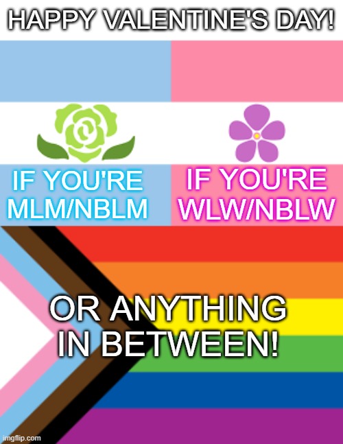 solidarity! | HAPPY VALENTINE'S DAY! IF YOU'RE MLM/NBLM; IF YOU'RE WLW/NBLW; OR ANYTHING IN BETWEEN! | image tagged in valentine's day,wlw,mlm,gay,lgbtq | made w/ Imgflip meme maker