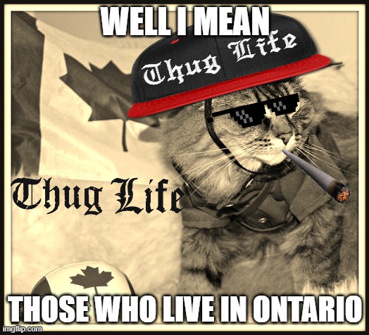 WELL I MEAN THOSE WHO LIVE IN ONTARIO | image tagged in canada cat | made w/ Imgflip meme maker
