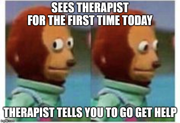 side eye teddy | SEES THERAPIST FOR THE FIRST TIME TODAY; THERAPIST TELLS YOU TO GO GET HELP | image tagged in side eye teddy,BipolarMemes | made w/ Imgflip meme maker
