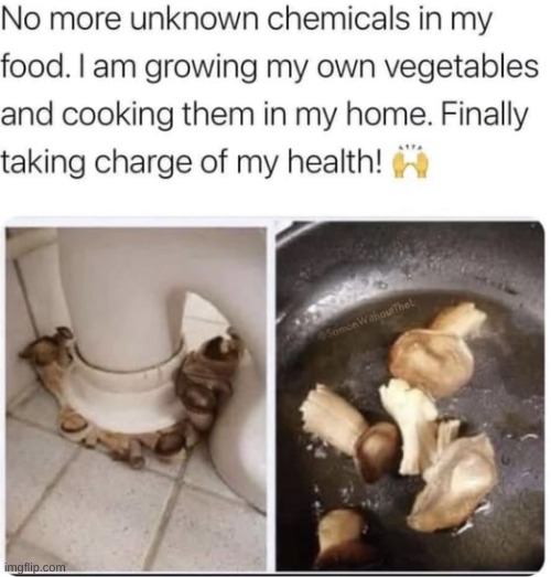those were from behind their toilet | made w/ Imgflip meme maker