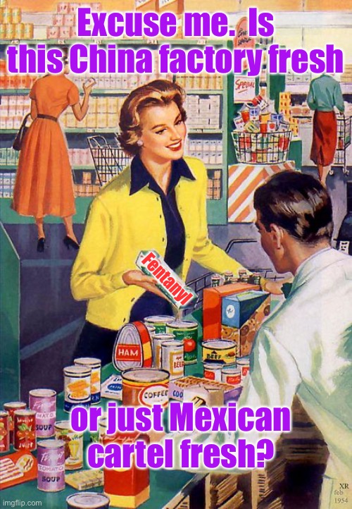 Follow me for more shopping questions | Excuse me.  Is this China factory fresh; Fentanyl; or just Mexican cartel fresh? | image tagged in vintage lady shopper,fentanyl,chinese manufacturing,mexican cartel distributing,freshness | made w/ Imgflip meme maker