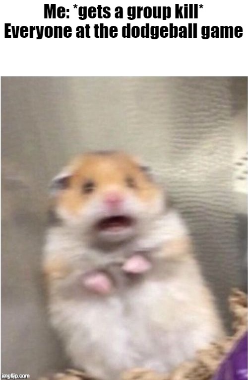 Scared Hamster | Me: *gets a group kill*
Everyone at the dodgeball game | image tagged in scared hamster | made w/ Imgflip meme maker