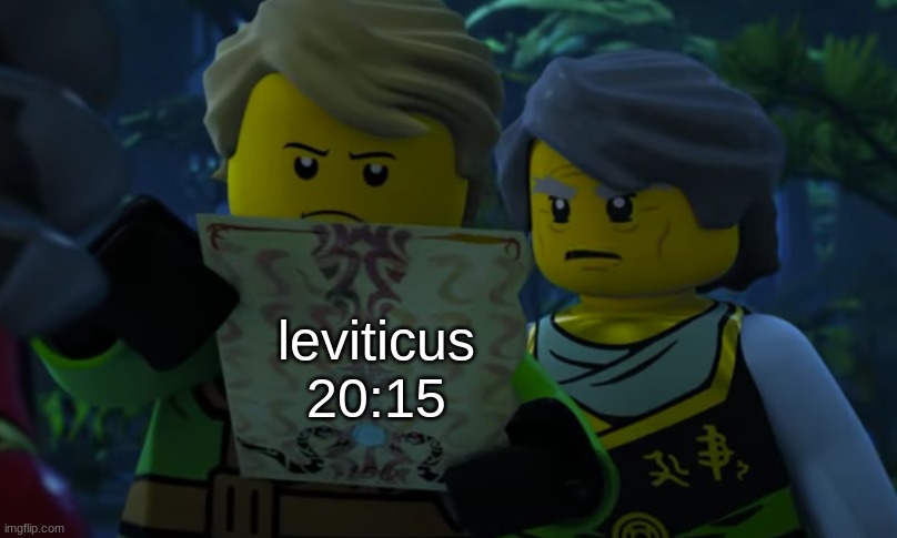 Lloyd and garmadon looking at paper | leviticus 20:15 | image tagged in lloyd and garmadon looking at paper | made w/ Imgflip meme maker