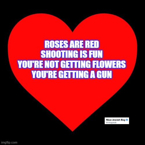 The more appropriate V-day present for one you care for | ROSES ARE RED
SHOOTING IS FUN
YOU'RE NOT GETTING FLOWERS
YOU'RE GETTING A GUN | image tagged in heart,gun,2a,valentine's day,rkba | made w/ Imgflip meme maker