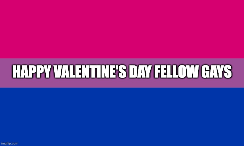 Bi flag | HAPPY VALENTINE'S DAY FELLOW GAYS | image tagged in bi flag | made w/ Imgflip meme maker