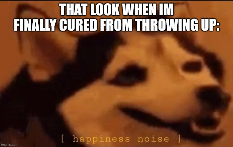 :) | THAT LOOK WHEN IM FINALLY CURED FROM THROWING UP: | image tagged in happines noise | made w/ Imgflip meme maker