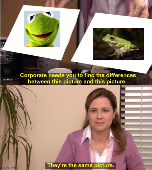 They're The Same Picture | image tagged in memes,they're the same picture | made w/ Imgflip meme maker