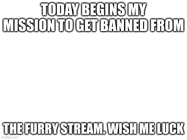 TODAY BEGINS MY MISSION TO GET BANNED FROM; THE FURRY STREAM. WISH ME LUCK | made w/ Imgflip meme maker