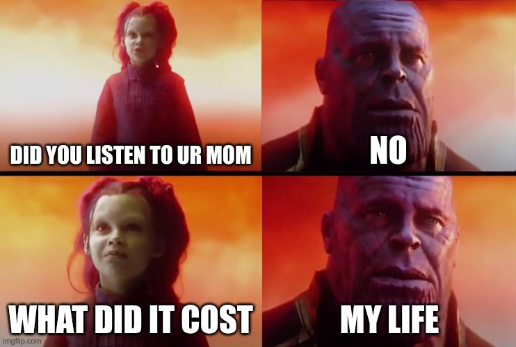 thanos what did it cost | DID YOU LISTEN TO UR MOM; NO; WHAT DID IT COST; MY LIFE | image tagged in thanos what did it cost | made w/ Imgflip meme maker