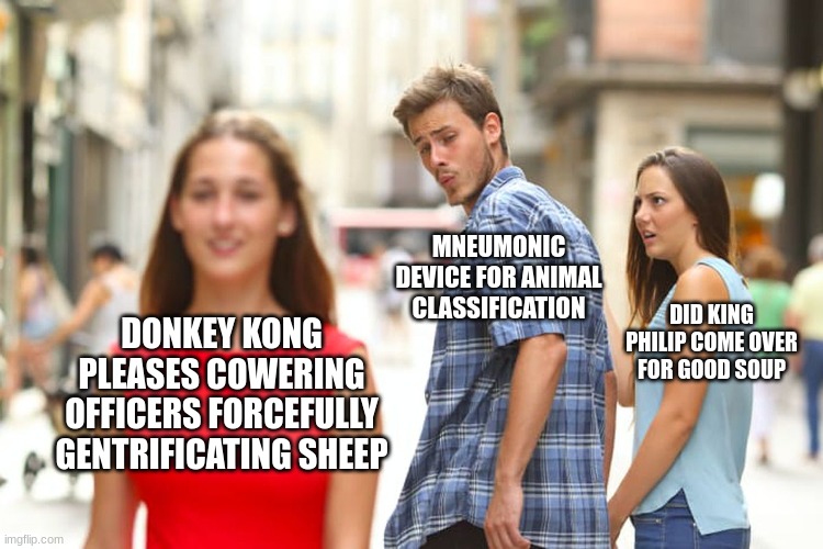 Had to make this for science class. Hope you guys enjoy | MNEUMONIC DEVICE FOR ANIMAL CLASSIFICATION; DID KING PHILIP COME OVER FOR GOOD SOUP; DONKEY KONG PLEASES COWERING OFFICERS FORCEFULLY GENTRIFICATING SHEEP | image tagged in memes,distracted boyfriend,donkey kong,science,donkey kongs p----- c--- o---- fucking g------ serendipidously | made w/ Imgflip meme maker