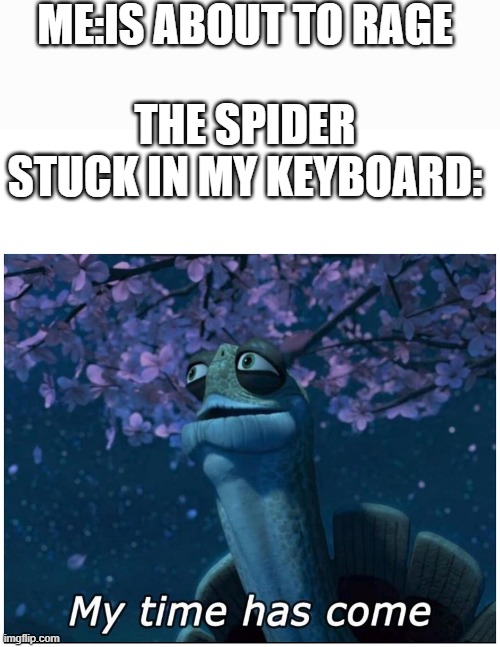 my time has come | ME:IS ABOUT TO RAGE; THE SPIDER STUCK IN MY KEYBOARD: | image tagged in my time has come | made w/ Imgflip meme maker