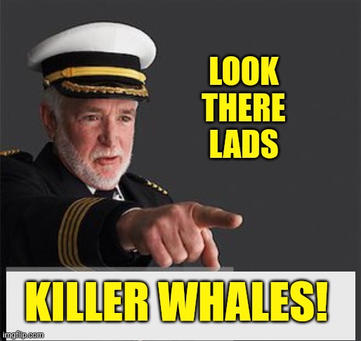 LOOK THERE LADS KILLER WHALES! | made w/ Imgflip meme maker