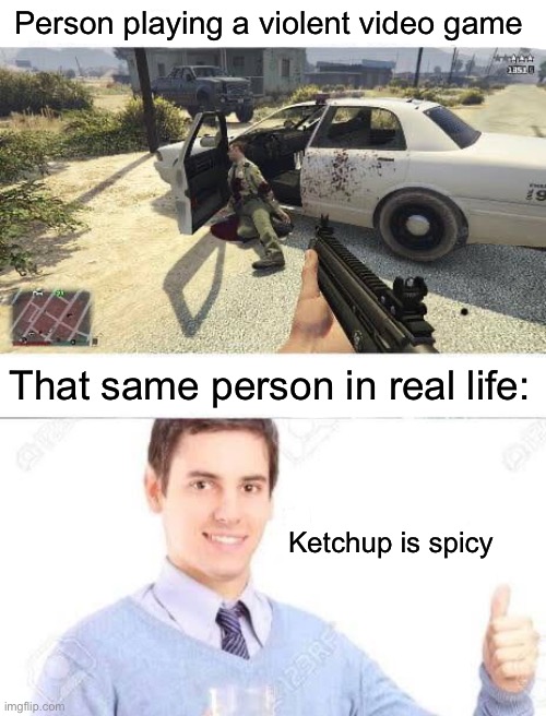 True tbh | Person playing a violent video game; That same person in real life:; Ketchup is spicy | image tagged in memes,funny,gaming | made w/ Imgflip meme maker