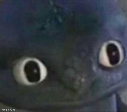 toothless shocked | image tagged in toothless shocked | made w/ Imgflip meme maker