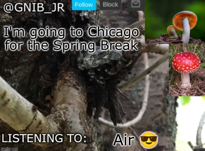 Can't wait | I'm going to Chicago for the Spring Break; Air 😎 | image tagged in gnib_jr's new temp | made w/ Imgflip meme maker
