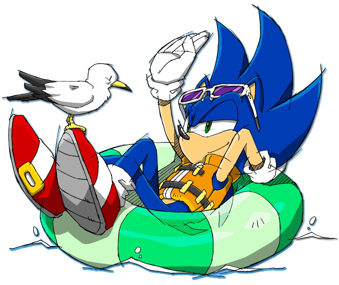 High Quality Sonic the Hedgehog & Seagull (Summer) Blank Meme Template