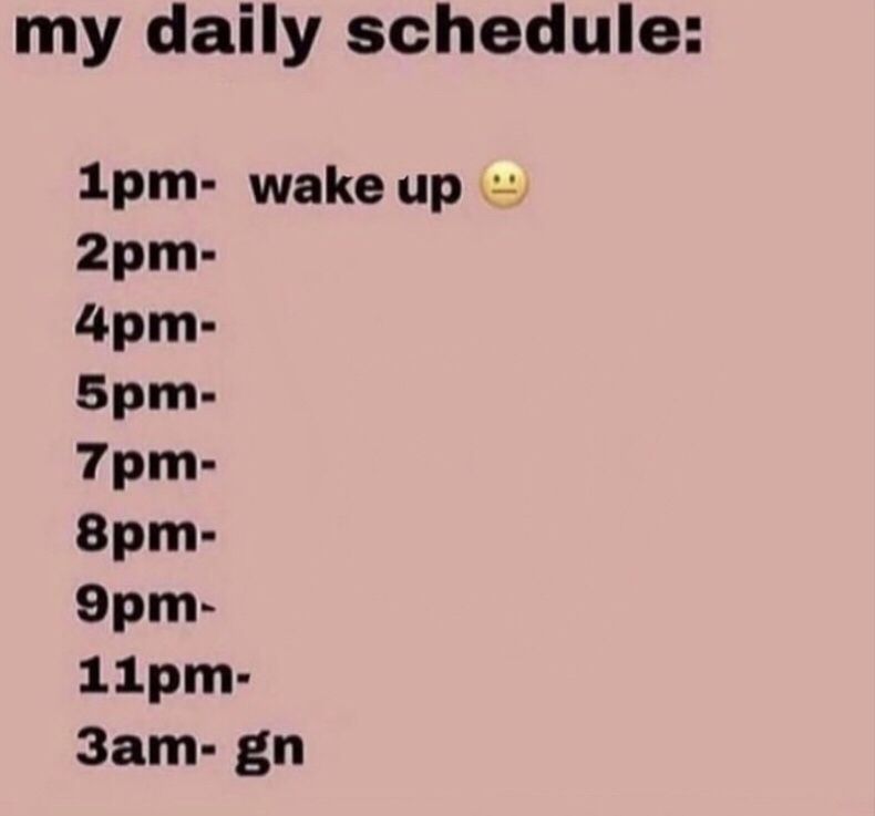 daily schedule Blank Meme Template