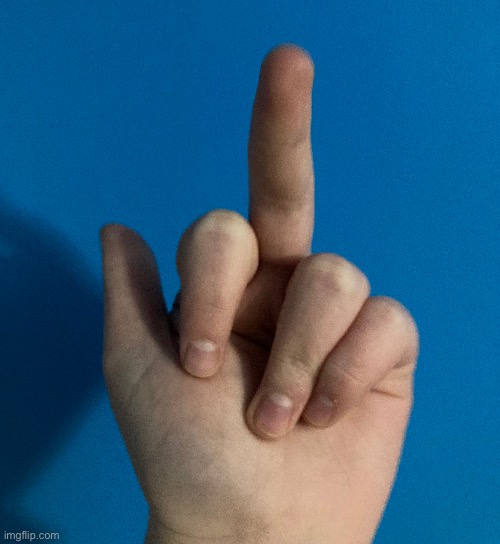 Middle finger reveal | image tagged in finger,reveal,ong,we don't care | made w/ Imgflip meme maker