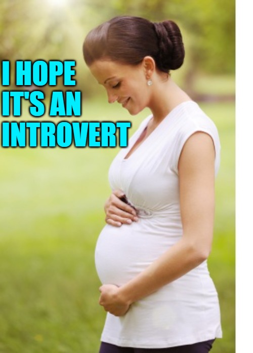 Pregnancy Humor | I HOPE IT'S AN INTROVERT | image tagged in pregnant lady,introvert,funny memes,lol,pregnancy,humor | made w/ Imgflip meme maker