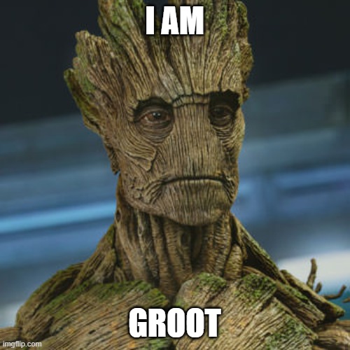 I am Groot | I AM GROOT | image tagged in i am groot | made w/ Imgflip meme maker