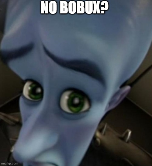 no bobux ?:( | NO BOBUX? | image tagged in megamind no bitches | made w/ Imgflip meme maker