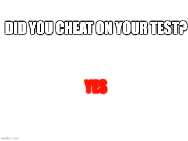 DID YOU CHEAT ON YOUR TEST? | DID YOU CHEAT ON YOUR TEST? YES | image tagged in funny | made w/ Imgflip meme maker