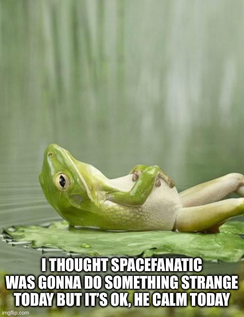 Heh, safety go BRRRRRR | I THOUGHT SPACEFANATIC WAS GONNA DO SOMETHING STRANGE TODAY BUT IT’S OK, HE CALM TODAY | image tagged in chillinfrog | made w/ Imgflip meme maker