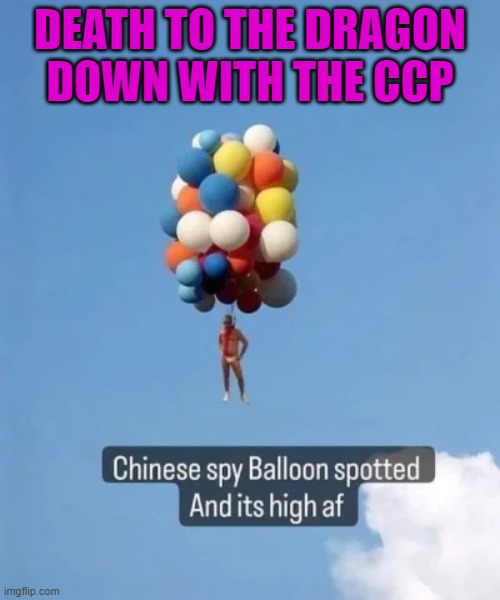 Down With The CCP | DEATH TO THE DRAGON
DOWN WITH THE CCP | image tagged in chinese spy balloons | made w/ Imgflip meme maker