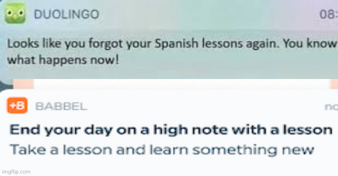 duolingo vs babbel | made w/ Imgflip meme maker
