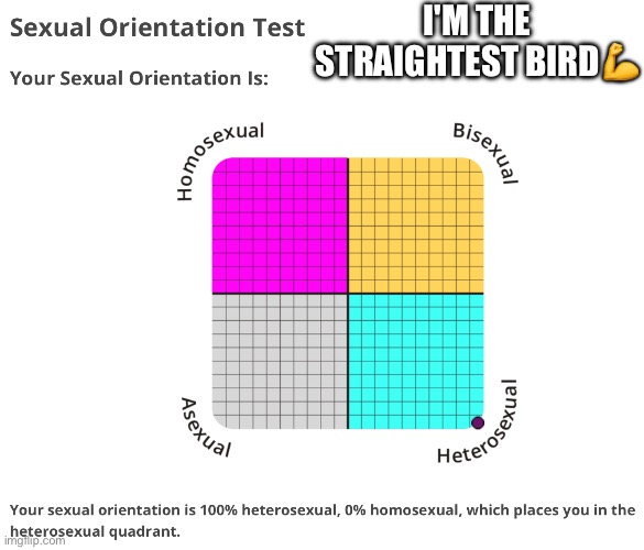 I'M THE STRAIGHTEST BIRD💪 | made w/ Imgflip meme maker