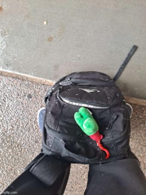 it was snowing hard today | made w/ Imgflip meme maker