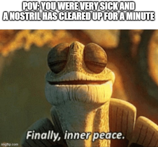 COLD | POV: YOU WERE VERY SICK AND A NOSTRIL HAS CLEARED UP FOR A MINUTE | image tagged in finally inner peace,sickness,funny,relatable | made w/ Imgflip meme maker