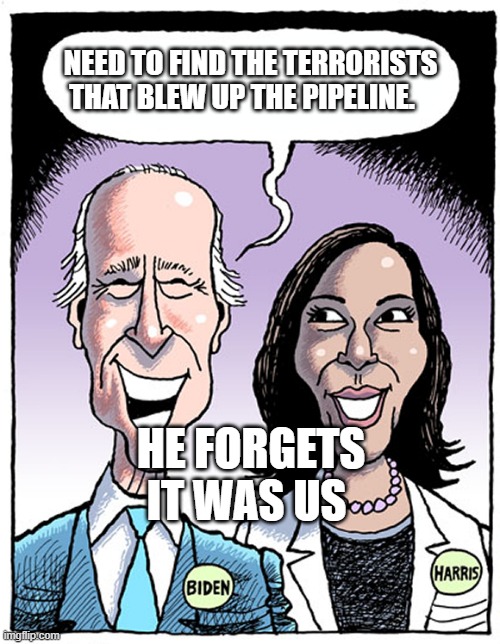 Biden Harris Blank Cartoon | NEED TO FIND THE TERRORISTS THAT BLEW UP THE PIPELINE. HE FORGETS IT WAS US | image tagged in biden harris blank cartoon | made w/ Imgflip meme maker
