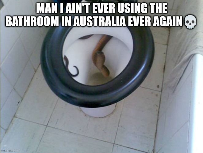 Australia is wild | MAN I AIN'T EVER USING THE BATHROOM IN AUSTRALIA EVER AGAIN💀 | image tagged in meanwhile in australia,has birdnerd ever encountered this,i bet he will confirm | made w/ Imgflip meme maker