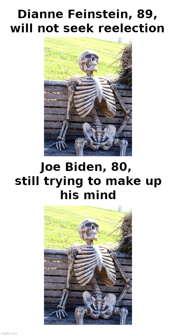 Even The Democrats Don't Want Joe To Run | image tagged in dianne feinstein,joe biden,waiting skeleton | made w/ Imgflip meme maker