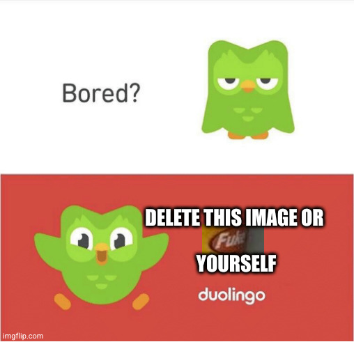 DUOLINGO BORED | DELETE THIS IMAGE OR 
 
YOURSELF | image tagged in duolingo bored | made w/ Imgflip meme maker