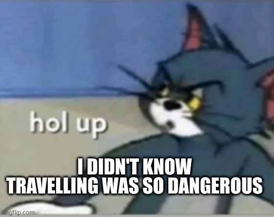 Hol up | I DIDN'T KNOW TRAVELLING WAS SO DANGEROUS | image tagged in hol up | made w/ Imgflip meme maker