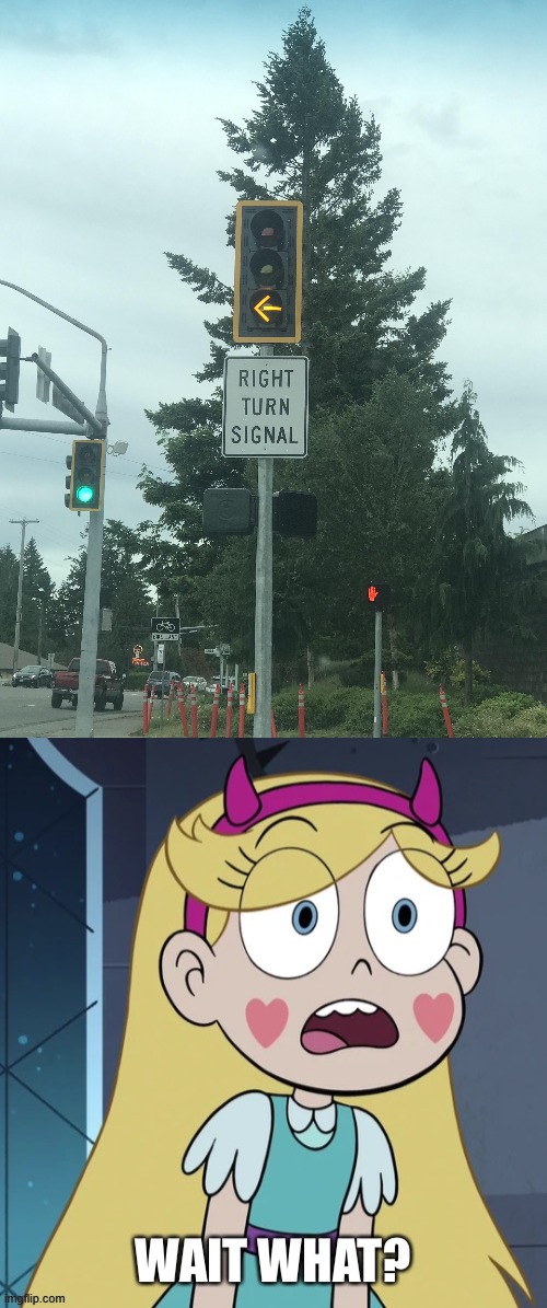 They installed a new turn signal outside WinCo. Does testing not exist? | image tagged in star butterfly wait what,star vs the forces of evil,traffic light,memes,you had one job,failure | made w/ Imgflip meme maker
