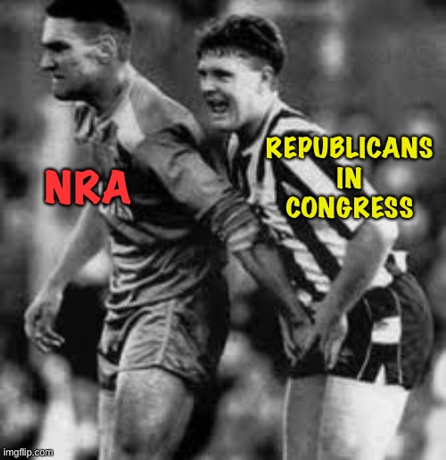 NRA REPUBLICANS
IN
CONGRESS | image tagged in vinnie jones | made w/ Imgflip meme maker