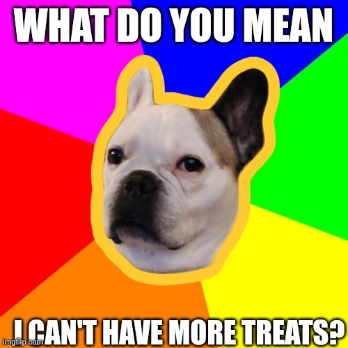 Memes from 2012 | WHAT DO YOU MEAN; I CAN'T HAVE MORE TREATS? | image tagged in dogs,why are you reading this | made w/ Imgflip meme maker
