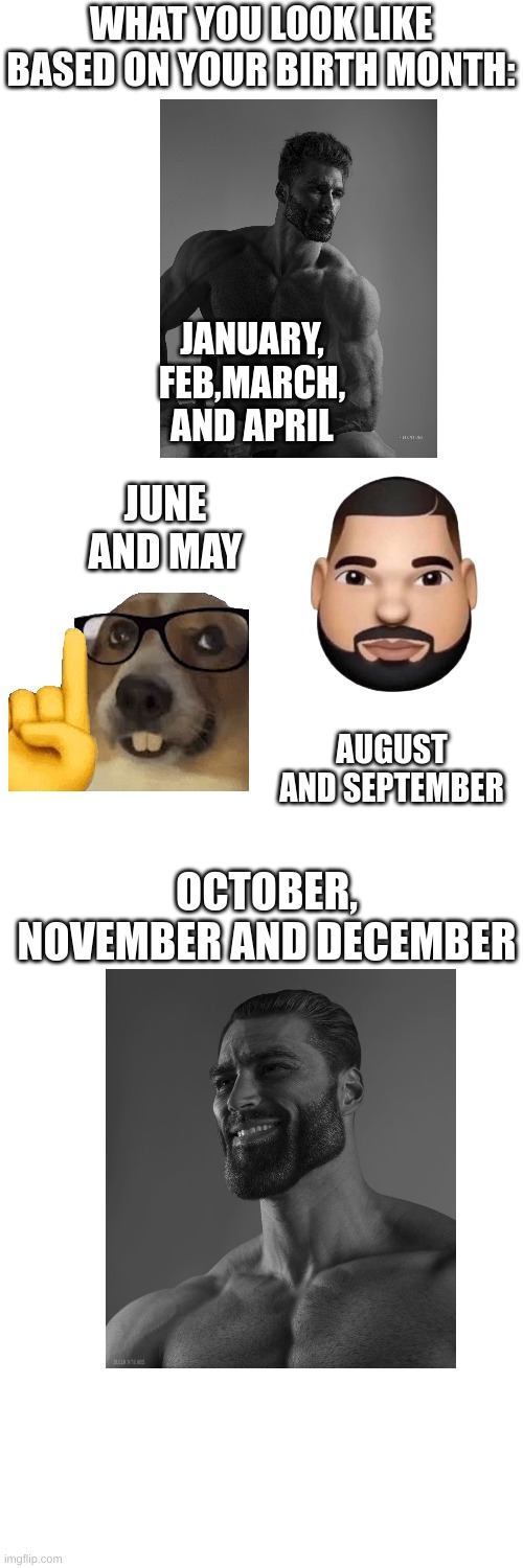 WHAT YOU LOOK LIKE BASED ON YOUR BIRTH MONTH:; JANUARY, FEB,MARCH, AND APRIL; JUNE AND MAY; AUGUST AND SEPTEMBER; OCTOBER, NOVEMBER AND DECEMBER | image tagged in memes,blank transparent square | made w/ Imgflip meme maker